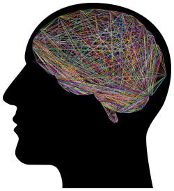 Neuroscience